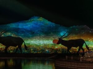 يستقطب آلاف الزوار يومياً .. مهرجان شتانا في حتّا يعزز حضوره وجهة شتوية مُفضّلة