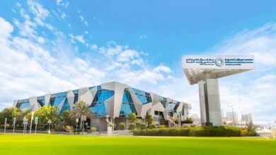 اكتشاف مركّب من بكتيريا الأمعاء مضاد لمرض السكري