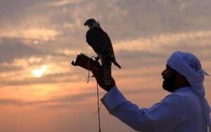 في أسبوعه الأول.. «مهرجان الياسات» يشهد عدداً من المسابقات الرياضية