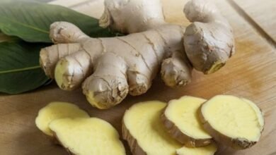 الزنجبيل.. فوائد عديدة للصحة والمناعة