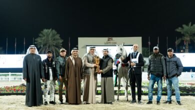 كأس الإمارات العالمي لجمال الخيل العربية يختتم نسخته الثانية في الكويت
