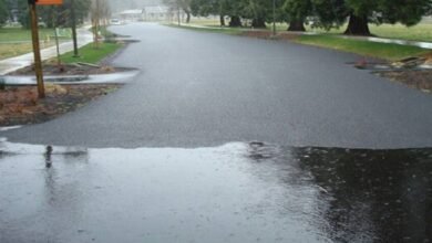 صديق للبيئة .. الأسفلت المدعوم بالطحالب يقلل الانبعاثات الكربونية 3 صديق للبيئة