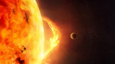 توقعات بازدياد نشاط التوهجات الشمسية عشية رأس السنة 2 التوهجات الشمسية