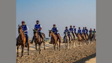 سباقات لكأس صاحب السمو رئيس الدولة للقدرة في قرية بوذيب