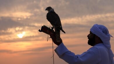 فعاليات متنوعة