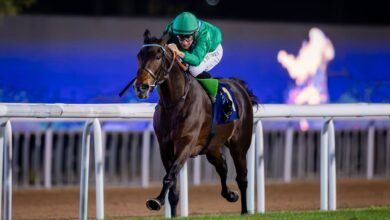 كأس رئيس الدولة تستقطب نخبة "الخيول العربية" غداً في أبوظبي 5 كأس رئيس الدولة تستقطب نخبة "الخيول العربية" غداً في أبوظبي