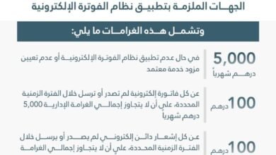 "المالية" تعلن صدور قرار مجلس الوزراء بشأن الغرامات على مخالفي نظام الفوترة الإلكترونية