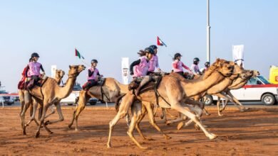 مركز حمدان بن محمد لإحياء التراث يشارك في ماراثون رحلة الهجن
