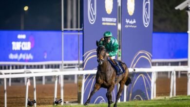 "الشاهين" يتوج بلقب كأس رئيس الدولة للخيول العربية