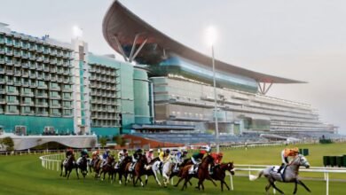 124 خيلاً تتنافس في أمسية "فستيف فرايداي" بإجمالي جوائز 4.5 مليون درهم