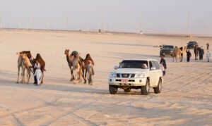 انطلاق "مزاينة مدينة زايد" المحطة الثالثة في مهرجان الظفرة