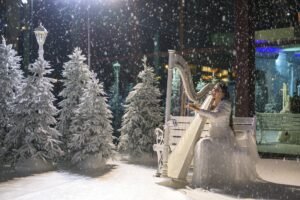 فندق وأجنحة ريكسوس النخلة دبي يحتفي بموسم الأعياد بفعاليات باهرة وتجارب فاخرة على شاطئ نخلة جميرا