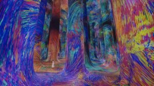 متحف «تيم لاب فينومينا» أبوظبي.. رحلة فنية غامرة في عالم الفن الرقمي