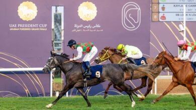 هيئة الإمارات لسباق الخيل تشيد بالنجاح الكبير لسباق كأس رئيس الدولة للخيول العربية