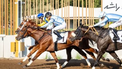 43 خيلا تشارك في السباق التجريبي العاشر بمضمار جبل علي