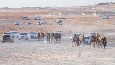 انطلاق "مزاينة مدينة زايد" المحطة الثالثة في مهرجان الظفرة
