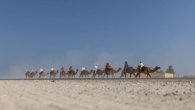 انطلاق النسخة الأطول في تاريخ “رحلة الهجن” من أبوظبي إلى دبي بمشاركة 29 متسابقا من 18 جنسية