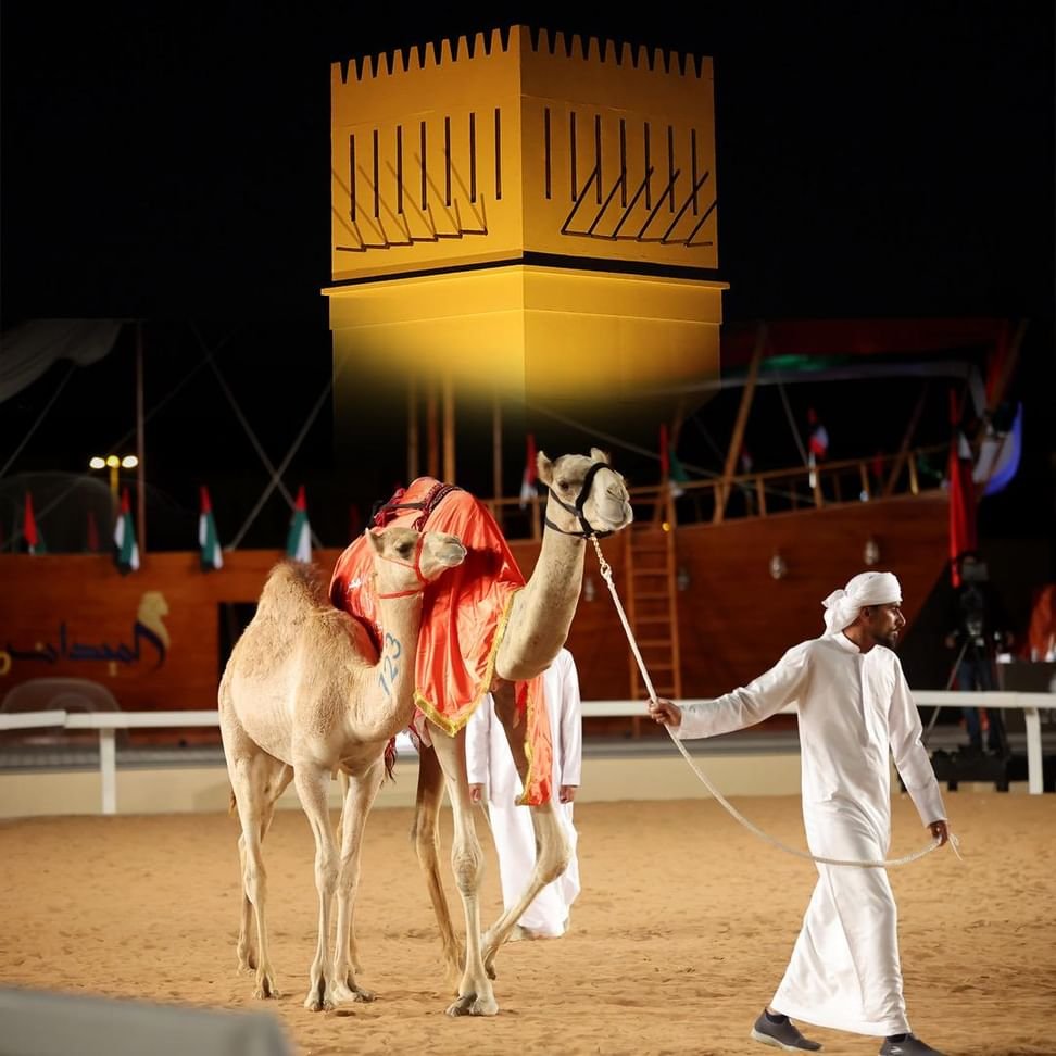 240 مطية في مزاد المرموم الـ13 للإنتاج الشخصي 1 240 مطية في مزاد المرموم الـ13 للإنتاج الشخصي