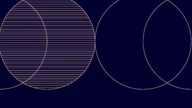 إطلاق مساق إطار الابتكار الحكومي لدولة الإمارات