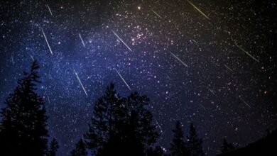 سماء المنطقة العربية تشهد مساء اليوم زخة شهب التوأميات