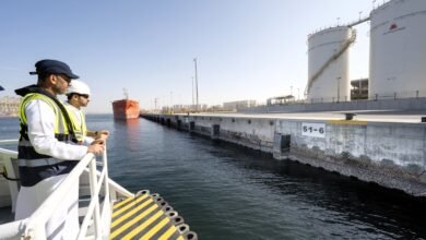 "دي بي ورلد" تُركّب أوّل 1000 لوح من الهياكل البحرية الحيّة في ميناء جبل علي 3 "دي بي ورلد" تُركّب أوّل 1000 لوح من الهياكل البحرية الحيّة في ميناء جبل علي