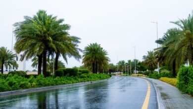 بلدية عجمان تعلن جاهزيتها الكاملة لموسم الأمطار 4 بلدية عجمان تعلن جاهزيتها الكاملة لموسم الأمطار