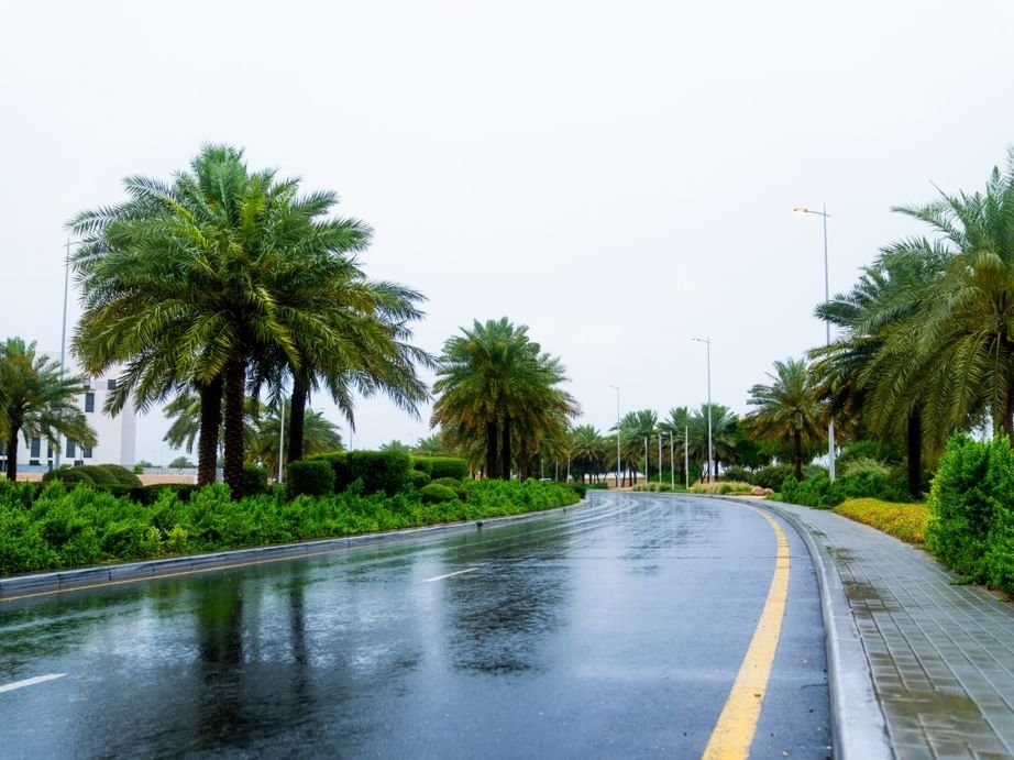 بلدية عجمان تعلن جاهزيتها الكاملة لموسم الأمطار 1 بلدية عجمان تعلن جاهزيتها الكاملة لموسم الأمطار