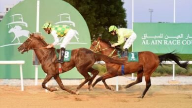"العين للفروسية" يستضيف غدا السباق الرابع بمشاركة 102 خيلا