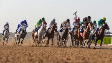 النسخة الثامنة من سباق كأس مجلس التعاون الخليجي لسباق الخيل تنطلق غدا بالشارقة