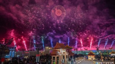 مهرجان "الشيخ زايد" يستقبل العام الجديد ببرامج احتفالية مميزة