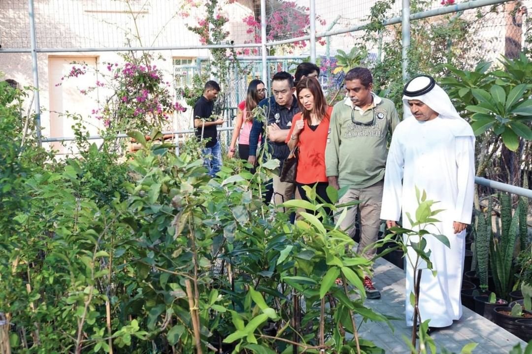 مزارع المواطنين / مشاريع استثمارية رائدة ووجهات سياحية مستدامة 1 مزارع المواطنين / مشاريع استثمارية رائدة ووجهات سياحية مستدامة