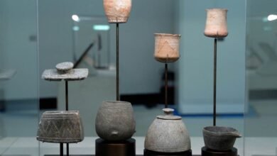 متحف زايد الوطني يحتفي بإرث القائد المؤسس ويبني جسور التواصل بين الأجيال