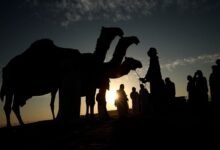 "مزاينة مدينة زايد" المحطة الثالثة في مهرجان الظفرة تنطلق غدا