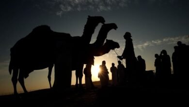 "مزاينة مدينة زايد" المحطة الثالثة في مهرجان الظفرة تنطلق غدا 3 "مزاينة مدينة زايد" المحطة الثالثة في مهرجان الظفرة تنطلق غدا