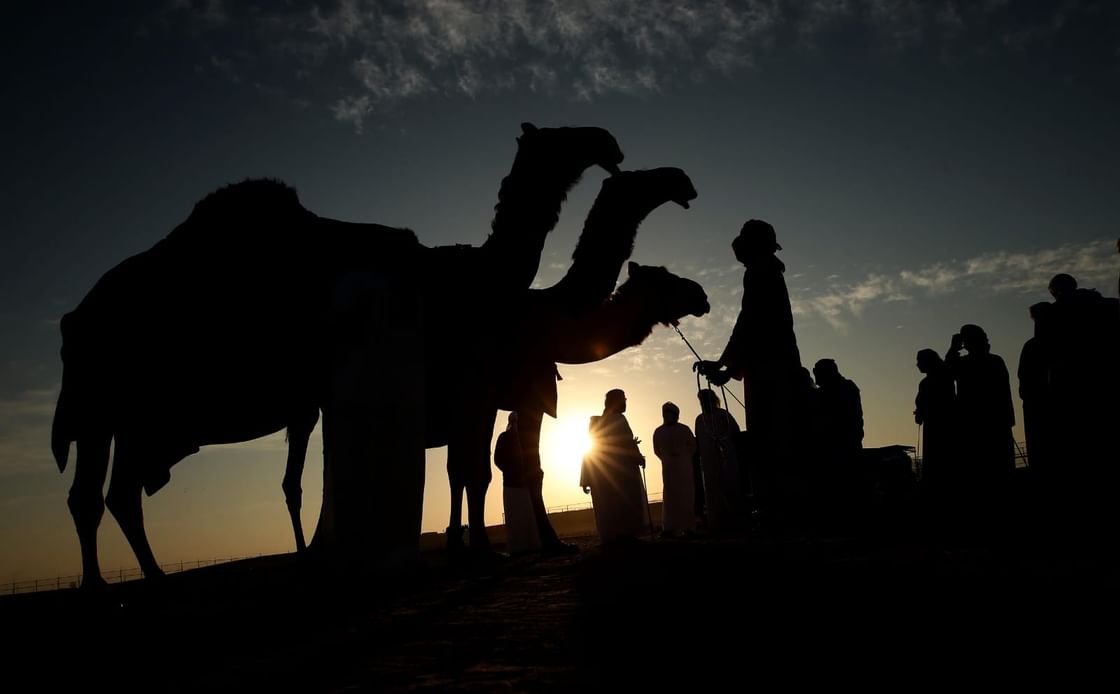 "مزاينة مدينة زايد" المحطة الثالثة في مهرجان الظفرة تنطلق غدا 1 "مزاينة مدينة زايد" المحطة الثالثة في مهرجان الظفرة تنطلق غدا