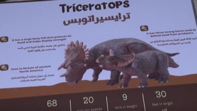 "محمية النوادر" تجربة ترفيهية تستهدف التوعية البيئية في مهرجان الشيخ زايد