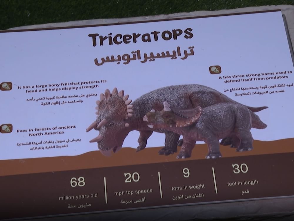 "محمية النوادر" تجربة ترفيهية تستهدف التوعية البيئية في مهرجان الشيخ زايد 1 "محمية النوادر" تجربة ترفيهية تستهدف التوعية البيئية في مهرجان الشيخ زايد