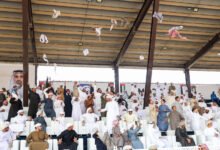 تواصل منافسات أشواط اللقايا في مزاينة الابل بمهرجان الظفرة الختامي