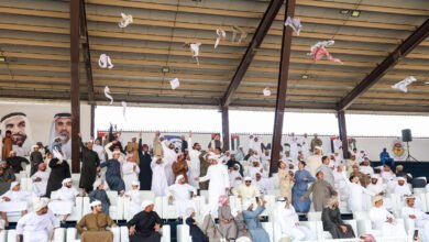 تواصل منافسات أشواط اللقايا في مزاينة الابل بمهرجان الظفرة الختامي 3 تواصل منافسات أشواط اللقايا في مزاينة الابل بمهرجان الظفرة الختامي