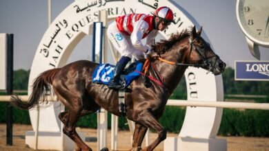 غدا انطلاق سباق كأس ولي عهد الشارقة وكأس أحمد بن راشد آل مكتوم للخيول 3 غدا انطلاق سباق كأس ولي عهد الشارقة وكأس أحمد بن راشد آل مكتوم للخيول