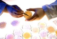 صناعة البلاستيك