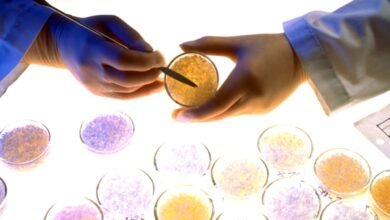 صناعة البلاستيك