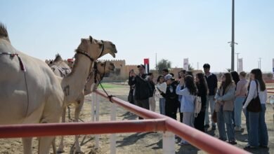 مهرجان الظفرة