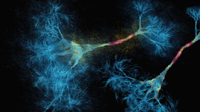 الذكاء الاصطناعى