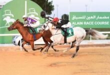 "مضمار العين" يستضيف "السباق السادس" بمشاركة 107 خيول