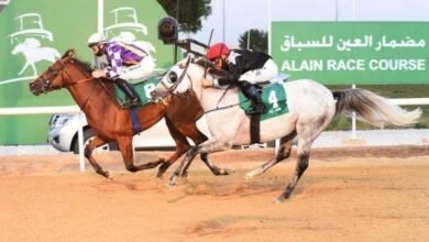 "مضمار العين" يستضيف "السباق السادس" بمشاركة 107 خيول