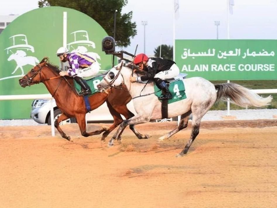 "مضمار العين" يستضيف "السباق السادس" بمشاركة 107 خيول 1 "مضمار العين" يستضيف "السباق السادس" بمشاركة 107 خيول