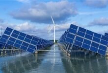 16.6 مليون وظيفة عالمياً في قطاع الطاقة المتجددة بنهاية 2024