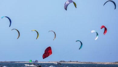 يوم دبي البحري