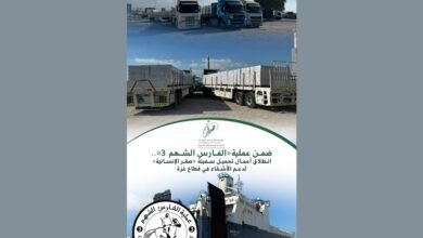 دء تحميل "سفينة صقر الإنسانية" لدعم الأشقاء في قطاع غزة